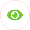 icon-vision icon-vision